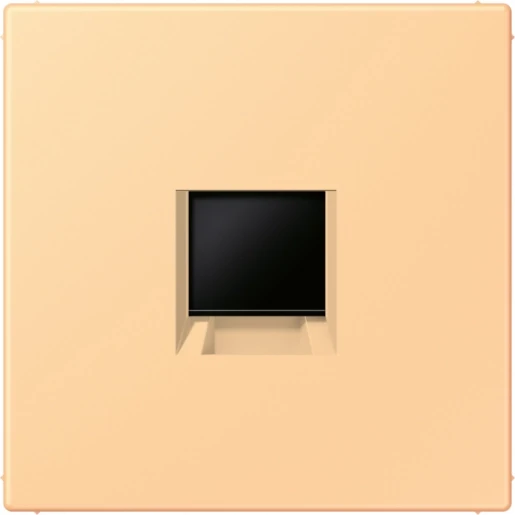 Jung LS range Afdekking centraalplaat AMP Radiall LC4320P Modular-Jack 1 connector Zonder label LC1969-1WE258