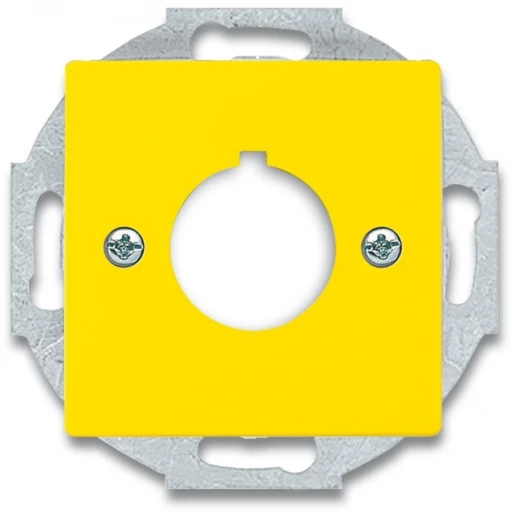 ABB Busch-Jaeger Future, Solo, Carat centraalplaat Bedieningselement 1 connector Zonder label geel 2CKA001724A4382