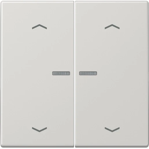 Jung LS range home stuurafdekking pijl licht grijs 2-voudig Glanzend grijs RAL 7035 BTLS17102PLG