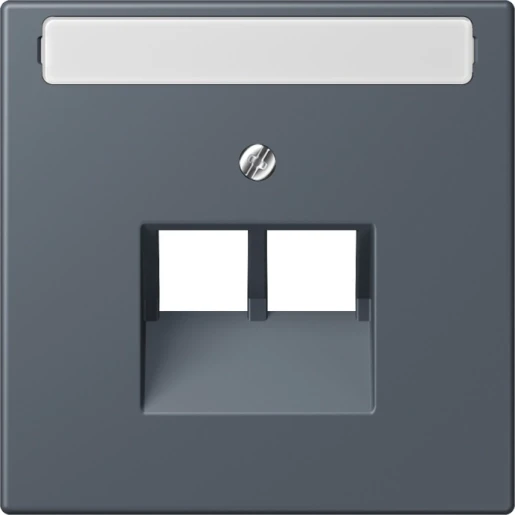 Jung LS range Afdekking centraalplaat 4320U UAE/IAE 2 connectoren Met label LC969-2NAUA262