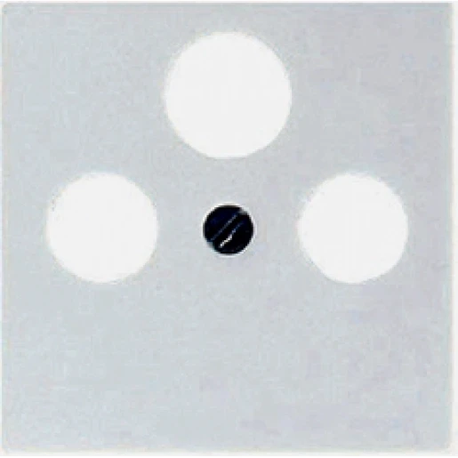 Jung AS/A range centraalplaat cai-contactdozen a(s)500 Satelliet 1 connector Zonder label wit A561PLSATWW