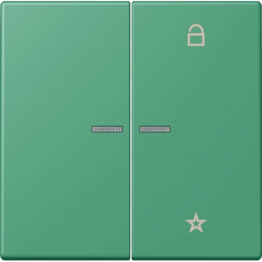 Jung LS range stuurafdekking universeel lc4320g 2-voudig Mat FMLC1701250