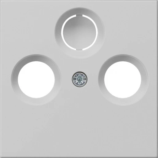Gira System 55 afdekking coaxiale antenne-cd Boring Centraalplaat Zonder label grijs 0869015