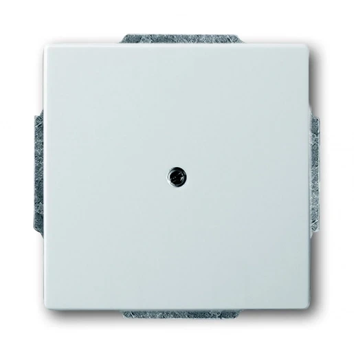 ABB Busch-Jaeger centraalplaat 1x uit boring Leidinguitvoer Bedieningselement MetaalZonder label RVS 2CKA001710A3752