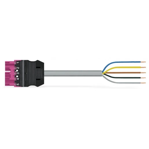 Wago Serie 771 Patchkabel gebouwinstallatie 5p Stekker Vrij kabeluiteinde 2000mm