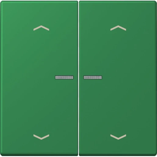 Jung LS range Home stuurafdekking pijl LC32050 2-voudig Mat groen BTLC17102P219