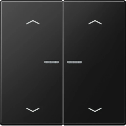 Jung LS range home stuurafdekking pijl grafiet zwart 2-voudig Mat zwart RAL 9005 BTLS17102PSWM