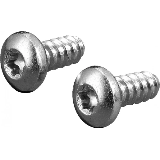 Rittal BINNENZESKANTPLAATSCHROEF VOOR ROESTVASTSTAAL 5x13 MM SET300
