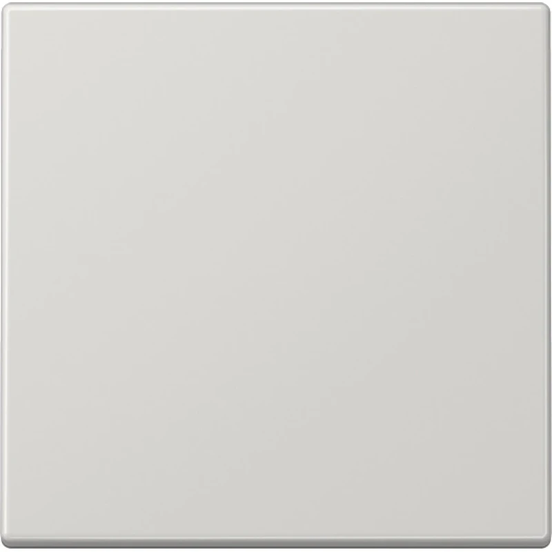 Jung LS range stuurafdekking standaard ls990 licht grijs enkelvoudig Glanzend grijs RAL 7035 LS1700LG