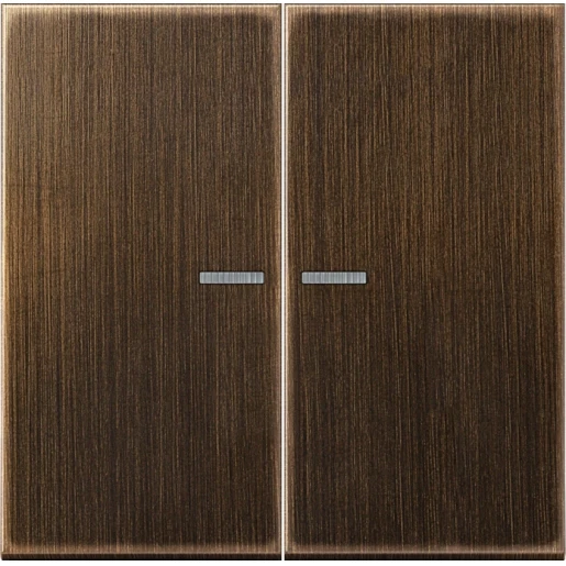 Jung LS range Knx RF-tastafdekking KNX 2-voudig messing inbouw IP2X RAL 8014 ME10921STRFAT