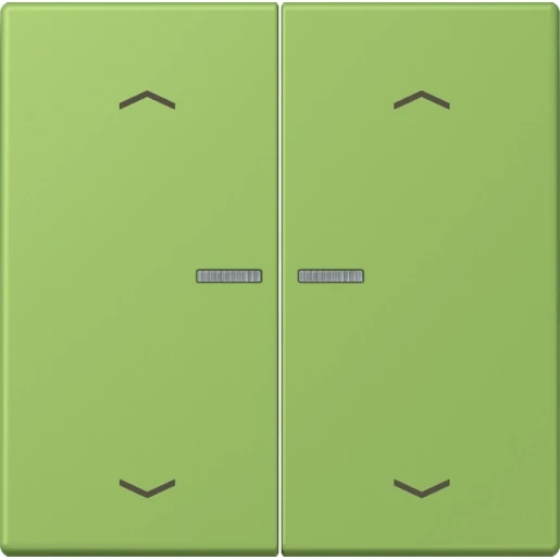 Jung LS range Home stuurafdekking pijl LC32051 2-voudig Mat BTLC17102P220