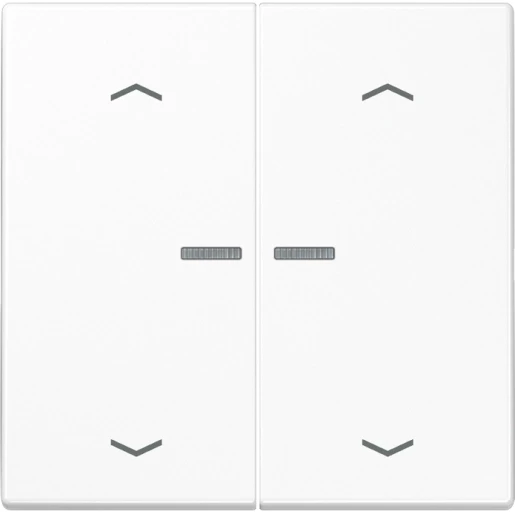 Jung LS range home stuurafdekking pijl alpine wit 2-voudig Glanzend wit RAL 9016 BTLS17102PWW