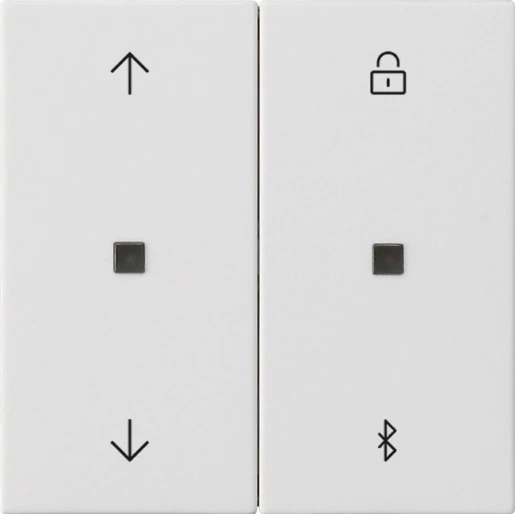 Gira System 55 s3000jaloezie- en schakelklok bluetooth zuiver wit 2-voudig Mat wit RAL 9010 536727