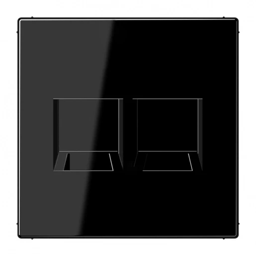 Jung LS range centraalplaat- (onderdeel) afdekking ls990 Modular-Jack 2 connectoren Zonder label zwart LS1969-2WESW