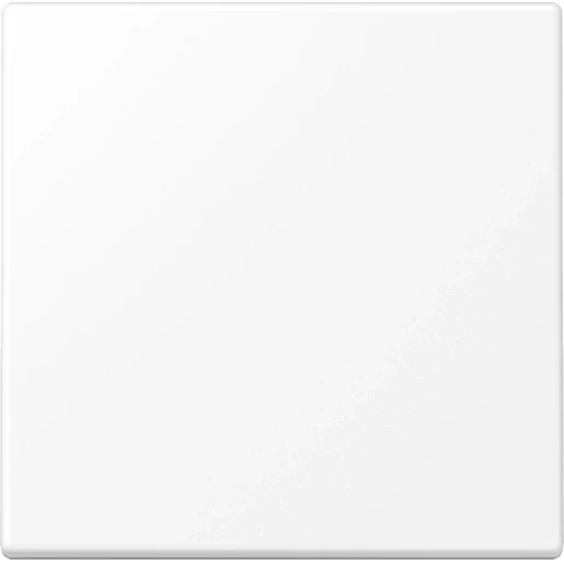 Jung LS range stuurafdekking ude ls990 enkelvoudig Mat wit RAL 9016 LS1700WWM