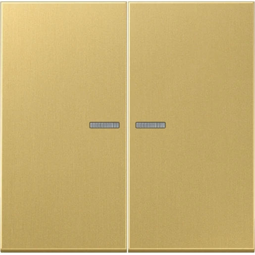 Jung LS range Knx RF-tastafdekking KNX 2-voudig messing inbouw IP2X ME10921STRFC
