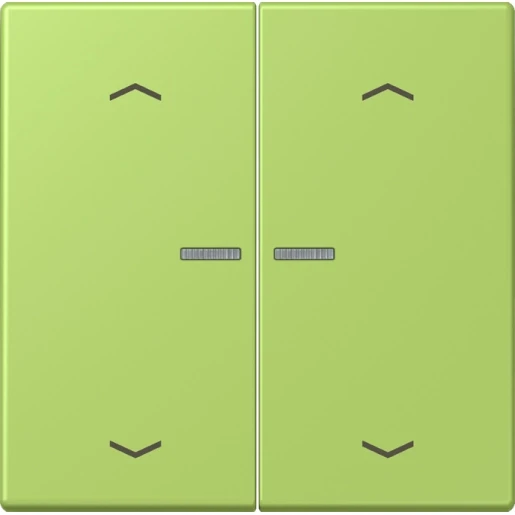 Jung LS range Home stuurafdekking pijl LC32052 2-voudig Mat BTLC17102P221