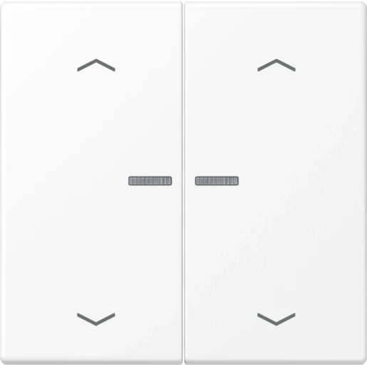 Jung LS range home stuurafdekking pijl sneeuwwit 2-voudig Mat wit RAL 9016 BTLS17102PWWM
