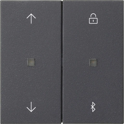 Gira System 55 s3000 jaloezie- en schakelklok bluetooth 2-voudig antraciet 536728