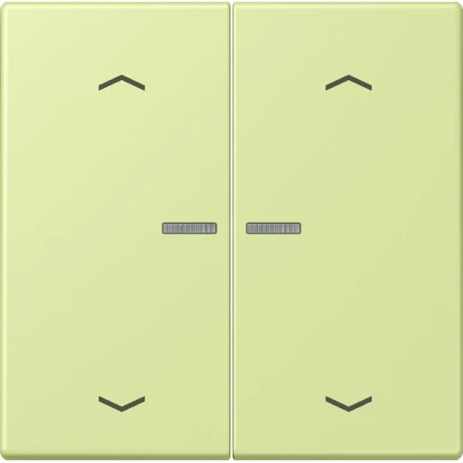 Jung LS range Home stuurafdekking pijl LC32053 2-voudig Mat BTLC17102P222