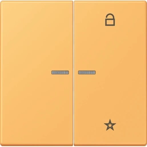 Jung LS range stuurafdekking universeel lc4320l 2-voudig Mat FMLC1701254