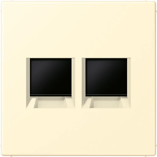 Jung LS range Afdekking centraalplaat AMP Radiall LC32001 Modular-Jack 2 connectoren Zonder label LC1969-2WE201