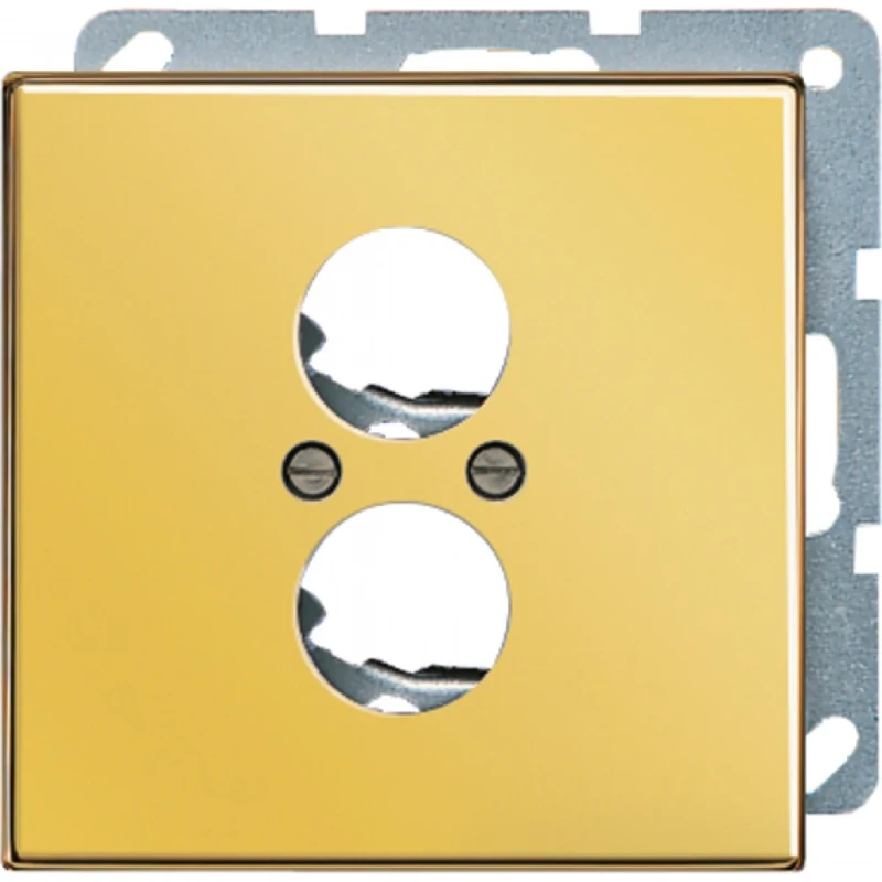 Jung LS range Afdekking 2 LS-aansluitdozen Luidsprekeraansluiting 2 connectoren MetaalZonder label goud LS962GGO