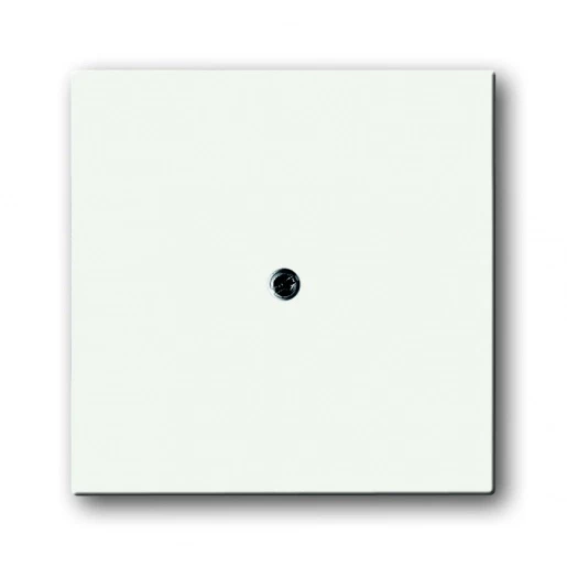 ABB Busch-Jaeger Future centraalplaat 1x uit boring 10mm Jack plug Centraalplaat Zonder label wit 2CKA001710A3874