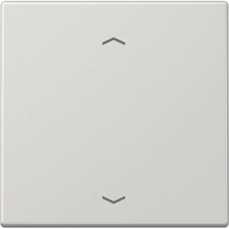 Jung LS range Afdekking LS990 standaard voor 1730JE enkelvoudig Glanzend grijs RAL 7035 LS1700PLG