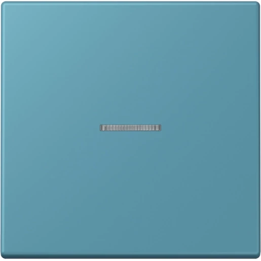 Jung LS range Home stuurafdekking LC32030 enkelvoudig Mat BTLC17101212