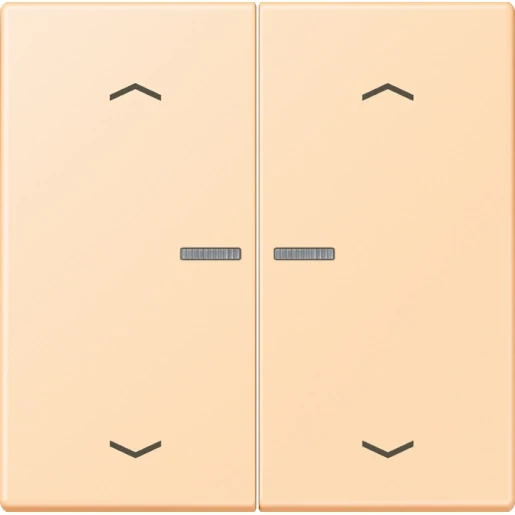 Jung LS range Home stuurafdekking pijl LC32060 2-voudig Mat BTLC17102P223