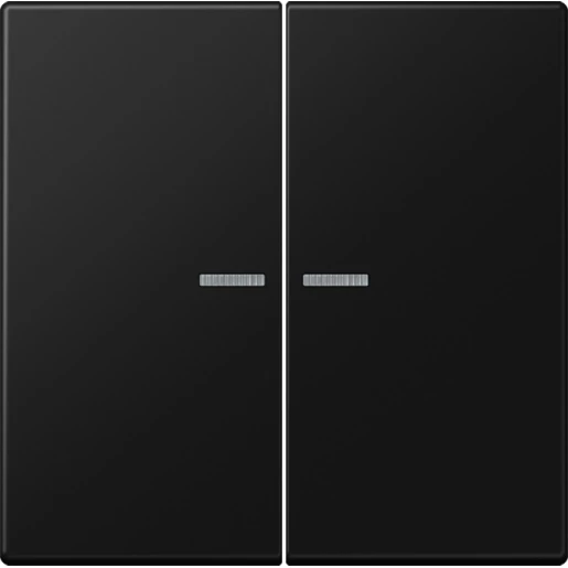 Jung LS range home stuurafdekking grafiet zwart 2-voudig Mat zwart RAL 9005 BTLS17102SWM