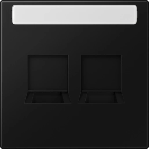 Jung LS range afdekking ls990 Modular-Jack 2 connectoren Met label zwart LS1969-2NAWESWM