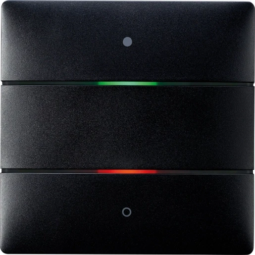 Theben KNX-iON Tastsensor met geïntegreerde temperatuur KNX 2-voudig zwart met tekstv inbouw IP20 RAL 9005 4969242