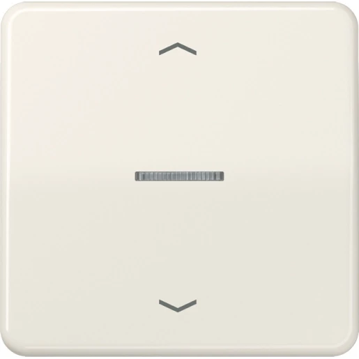 Jung CD range HOME stuurafdekking pijl enkelvoudig Glanzend wit RAL 1013 BTCD17101P