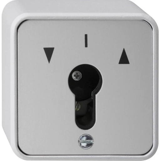 Gira SW Sleuteldrukcontact opbouw Sleutel grijs 016330