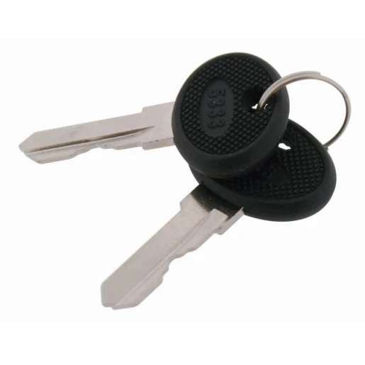 Gigamedia Sleutel nr. 333 (1 stuk = 2) GGM CLES333