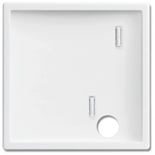 ABB Busch-Jaeger Future, Solo, Axcent, Carat miva centraalplaat oproepsysteem treksnoer wit RAL 9016 2CKA001724A4390