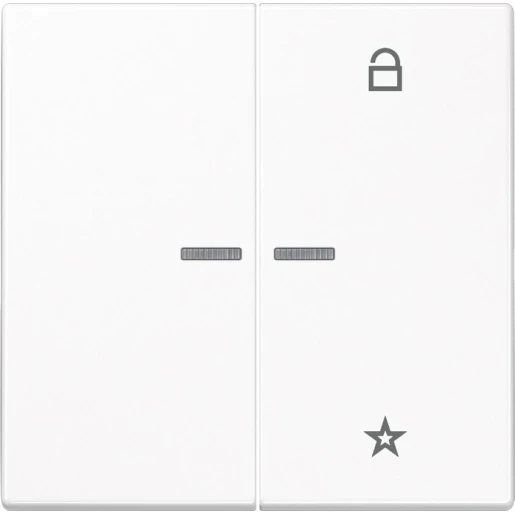 Jung LS range tastafdekking ls990 alpine wit 2-voudig Glanzend wit RAL 9016 FMLS1701WW