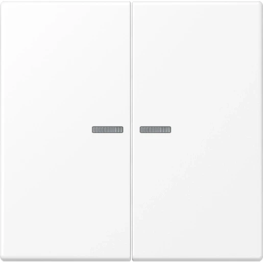 Jung LS range home stuurafdekking sneeuwwit 2-voudig Mat wit RAL 9016 BTLS17102WWM