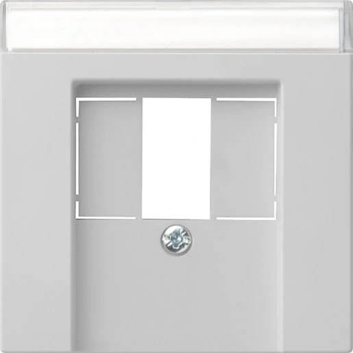 Gira System 55 afdekking tk usb TAE Centraalplaat Met label grijs 0876015