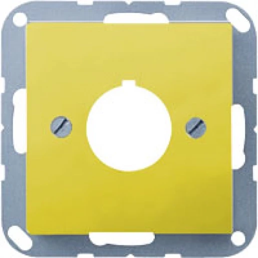 Jung AS/A range centraalplaat a500 Basiselement met centrale afdekplaat 1 connector Zonder label geel A564GE