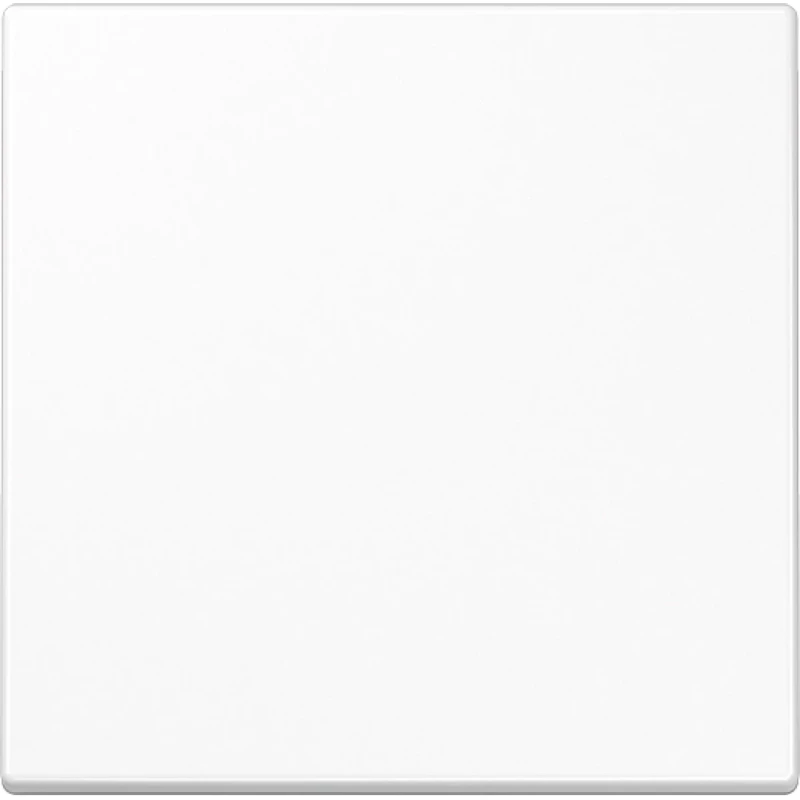 Jung LS range stuurafdekking standaard ls990 enkelvoudig Glanzend wit RAL 9016 LS1700WW