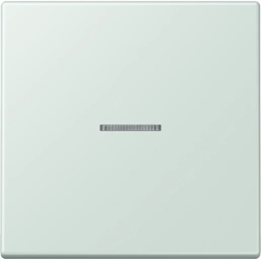 Jung LS range Home stuurafdekking LC32034 enkelvoudig Mat BTLC17101215