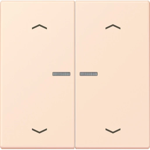 Jung LS range Home stuurafdekking pijl LC32082 2-voudig Mat BTLC17102P226