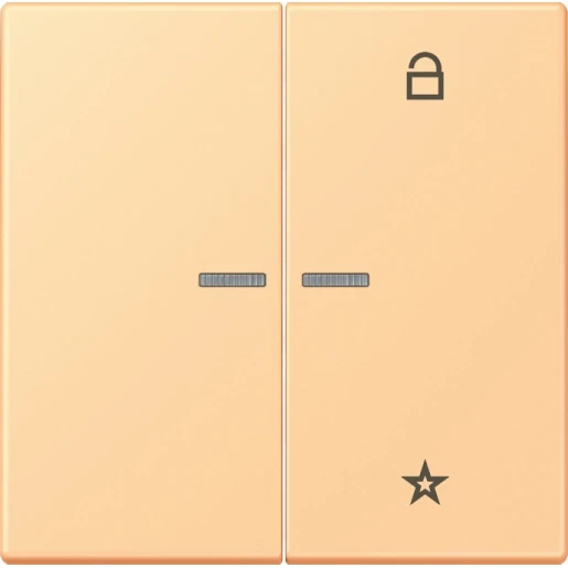 Jung LS range stuurafdekking universeel lc4320p 2-voudig Mat FMLC1701258