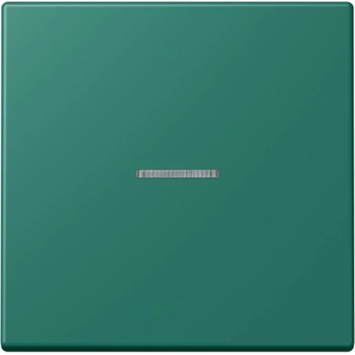 Jung LS range Home stuurafdekking LC32040 enkelvoudig Mat BTLC17101216