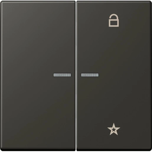 Jung LS range stuurafdekking universeel lc4320r 2-voudig Mat FMLC1701259