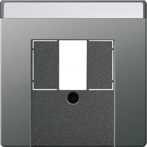 Gira System 55 Afdekking TK USB edelstaal TAE Centraalplaat MetaalZonder label RVS 0876600
