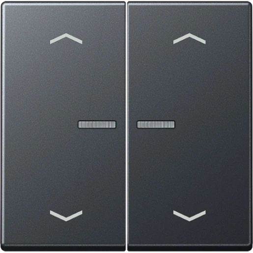 Jung A range home stuurafdekking pijl a500 2-voudig Mat antraciet RAL 7016 BTA17102BFPANM
